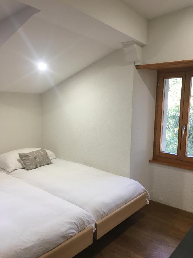 La Dent-Du-Midi Hotel & Restaurant Saint-Maurice Kültér fotó